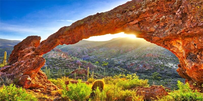 48x20inches Terrarium Background Mountains Desert Wild West Sunset Landscape Backdrop Aquarium Background Reptile Habitat Fish Tank Decoration Vinyl Background