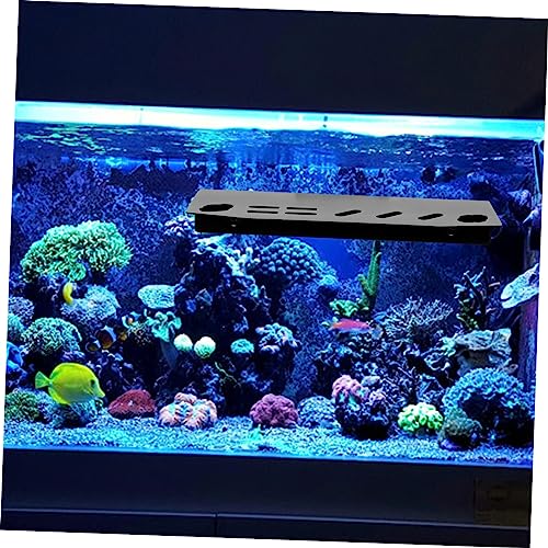 TOYANDONA Aquarium Tool Holder Organizer Rack for Fish Tank Maintenance Tweezers Scissors Storage Sturdy Design for Aquatic Plant Care