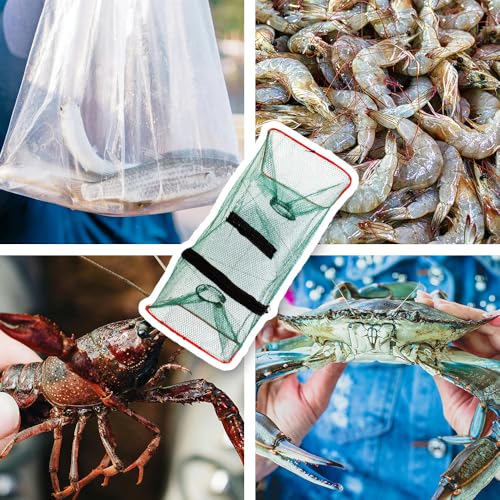 2 Pack Minnow Trap for Bait Fish Foldable Fishing Net with Dual Entrances Zippered Removal Access 2.7 Inch Openings Portable Small Fish Crawfish Shrimp Crayfish Trap for Lake Pond Fishing