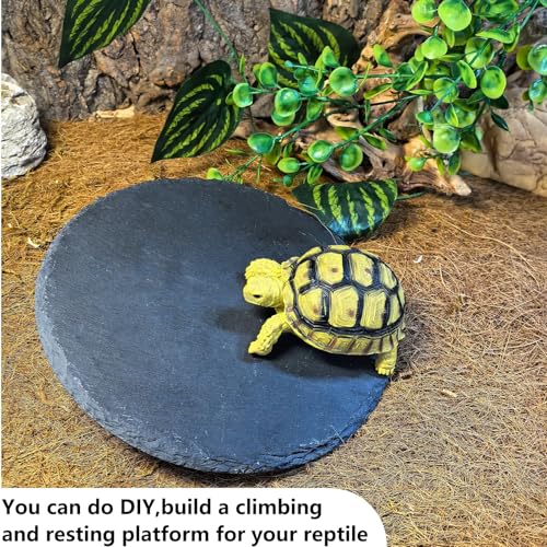 Reptile Basking Platform,7.8IN Tortoise Rock Slate Plate Feeding Food Bowl Dish Turtle Bathing Resting Terrace for Lizard Bearded Dragon Chameleon Gecko Snake Frog Newt - size: 7.8inch(1pcs)