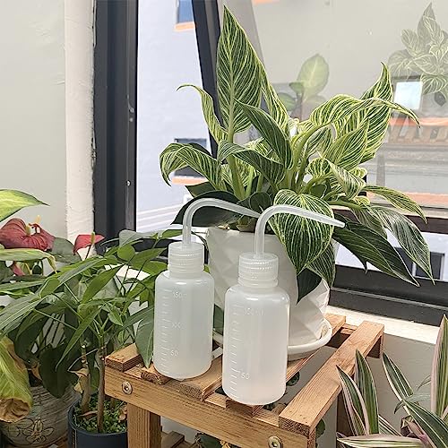 Valchoose Professional 2PCS 150ML Lash Water Bottle Squeezer, 5.1oz Tattoo Wash Bottle No Need to Squeeze Hard, Easy to Carry Plastic Wash Bottle for Eyelashes, Cleaning(Translucent White) (Pack of 2) - color: White, size: 2x150ml (Pack of 2)