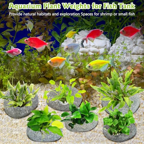 Drilled Pebble Aquatic Plant Anchors Water Plants Fixed Ring Natural River Stone Plant Weights for Fish Tank Aquarium Decorations Landscape Stones(Aperture: 0.8" 1hole 6pcs)