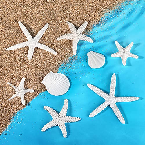 Sumind 8 Pcs White Starfish and Scallop Shells Decor White Aquarium 1-4 Inch Mixed Fish Tank Decor Resin Natural Beach Sea Shells Decorations for DIY Crafts Wedding Party Beach Home