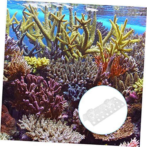 BESPORTBLE Frag Rack Support Holder for Aquarium Acrylic Bracket Fish Tank Decorations