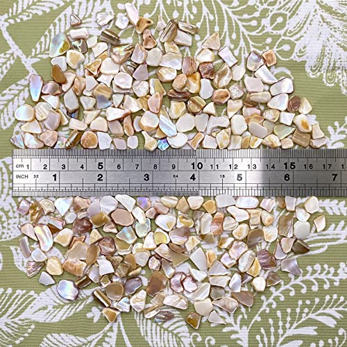 Yew & Tulip Natural Crushed Shells Chips, 32 oz (2 lb) Irregular Mother of Pearl Mosaic Fragments for Crafts, Home Décor, Vase Filler, Wedding, Fish Tank, Wedding, DIY etc. (32 oz (2 lb), Warm)