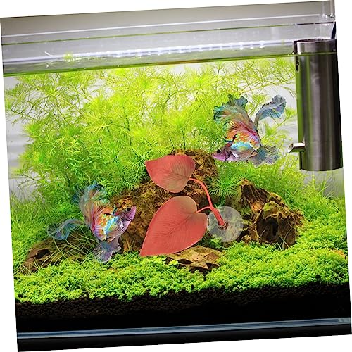 SUPVOX 2pcs Betta Fish Leaf Hammock Pad for Aquarium Betta Resting Bed Cups for Comfort and Spawning Simulation