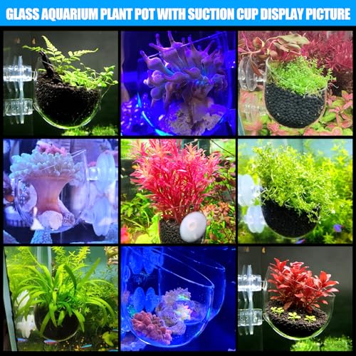 4pcs Glass Aquarium Decor Plants Pot,Crystal Aquatic Plant Pot with Suction Cup, Betta Resting Bed Spot,Aquarium Planter Landscaping Cup with Stones Clip and Tweezers (4pcs Glass Aquarium Plant Pot) - size: 4pcs glass aquarium plant pot