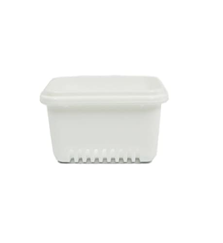 Denture Bath Case Cup Box Holder with Basket, Storage Container Care for Dentures, Clear Braces, Night Guard & Retainers,Traveling (Lavander) - color: Lavander