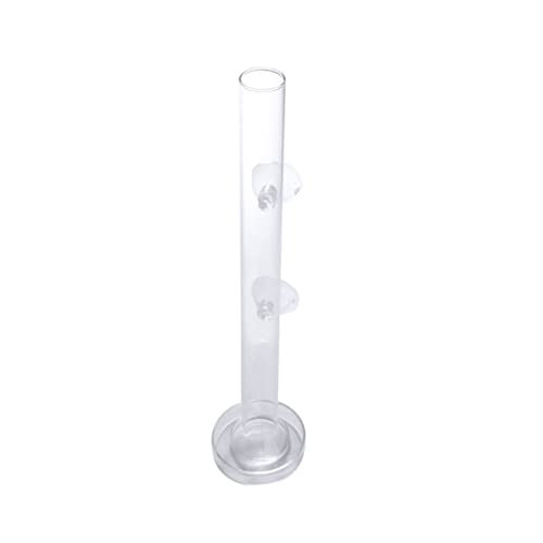 BESPORTBLE Transparent Glass Shrimp Feeding Tube Set Feeder Tray for Aquarium Durable and Reliable Glass Design Convenient Feeding for Fish and Shrimp Easy to Install