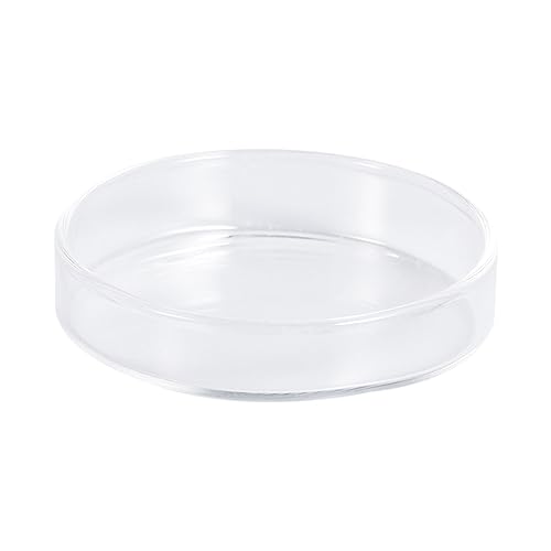 UKCOCO 1pc Transparent Glass Shrimp Food Feeder Bowl for Small Fish Round Dish for Aquatic Pets Aquarium Aesthetics for Shrimp and Reptiles
