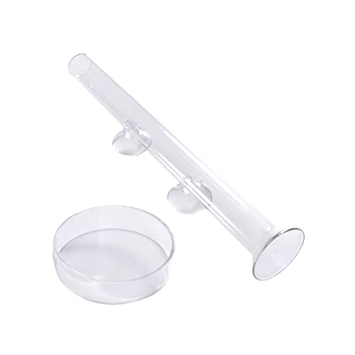 BESPORTBLE Transparent Glass Shrimp Feeding Tube Set Feeder Tray for Aquarium Durable and Reliable Glass Design Convenient Feeding for Fish and Shrimp Easy to Install