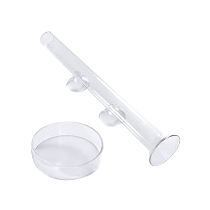 BESPORTBLE Transparent Glass Shrimp Feeding Tube Set Feeder Tray for Aquarium Durable and Reliable Glass Design Convenient Feeding for Fish and Shrimp Easy to Install