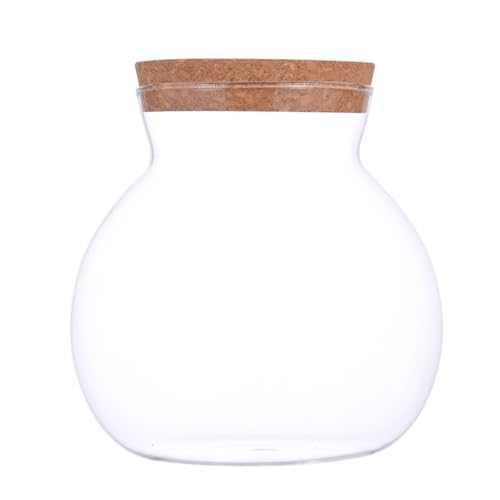 Small Fish Bowl, Cute Betta Tank, High Clear Fish Glass Bowl, Desktop Mini Aquarium Vases for Betta Fish and Hydroponic Plants, Plants Propagation Station, Home Office Table Decorations - size: 0.5 Gallon