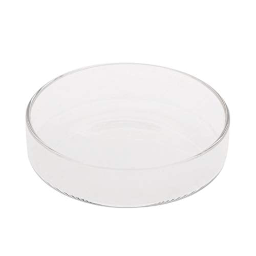 Aquarium Shrimp Feeding Dish High Glass Bottom Feeder Food Bowl 3.9 3.5 3.2 2.6 2.4 Inches Round Tray Glass - size: B