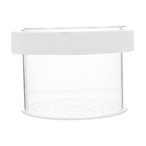VANZACK Floating Fish Isolation Box Acrylic Fish Breeding Container for Small Aquariums Durable Transparent Hatchery with Water Permeable Design for Fry