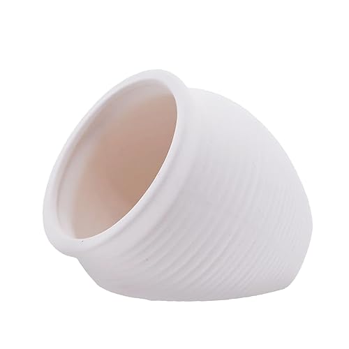AnRui Ceramic Jar Aquarium Decorations Fish Tank Hideout Cave Cute Pot Aquarium Accessories Decor Ornaments for Cichlid, Small Fish, Shrimp to Play Hide Breed Habitat, White - size: Large