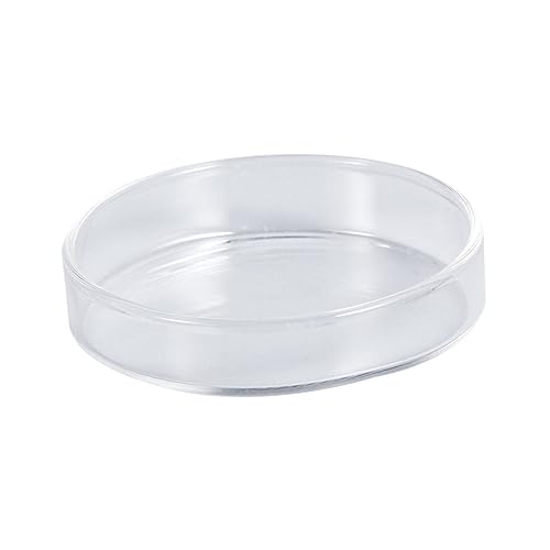 Toddmomy Clear Glass Shrimp Feed Dish Small Fish Feeding Bowl Durable Glass Feeder for Shrimp Fish and Reptiles for Aquariums and Home Decor