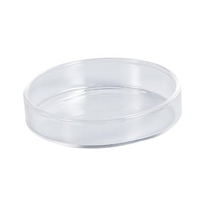 Toddmomy Clear Glass Shrimp Feed Dish Small Fish Feeding Bowl Durable Glass Feeder for Shrimp Fish and Reptiles for Aquariums and Home Decor