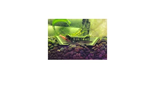 Shrimp Champ: Ultimate Shelter, Breeding Area and Hideout for Cherry Shrimp, African Dwarf Frogs and Small Aquatic Creatures - Natural Look, Safe, Eco-Friendly (2 Pack)