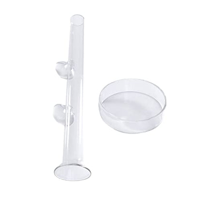 BESPORTBLE Transparent Glass Shrimp Feeding Tube Set Feeder Tray for Aquarium Durable and Reliable Glass Design Convenient Feeding for Fish and Shrimp Easy to Install