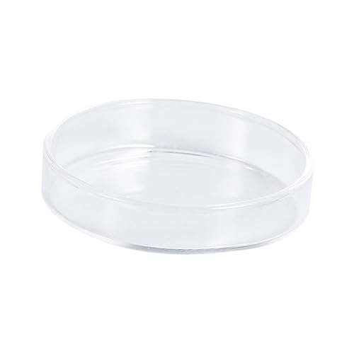 Angoily 3pcs Glass Shrimp Food Basin for Small Fish Round Feeding Dish Glass for Shrimp Fish and Reptiles