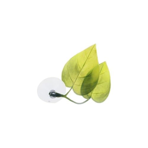 Betta Fish Leaf Pad Improves Betta's Health by Simulating The Natural Habitat for Tank Aquarium Breeding Resting Bed