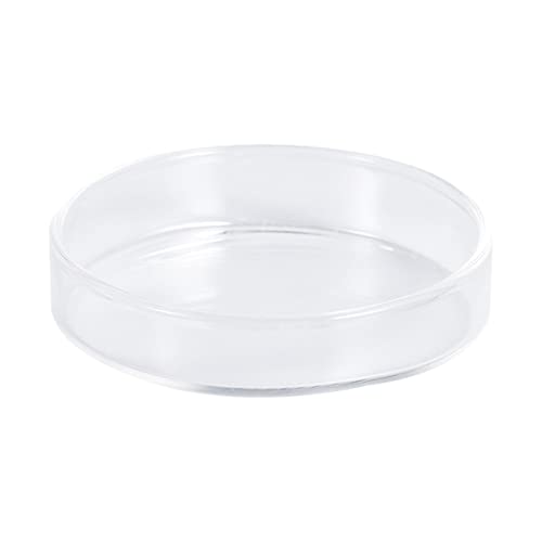 BESPORTBLE 1pc Transparent Glass Shrimp Feeding Bowl Glass Round Dish for Fish and Reptiles Design Aquarium Ornamental Supply