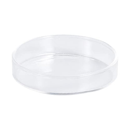 BESPORTBLE 1pc Transparent Glass Shrimp Feeding Bowl Glass Round Dish for Fish and Reptiles Design Aquarium Ornamental Supply