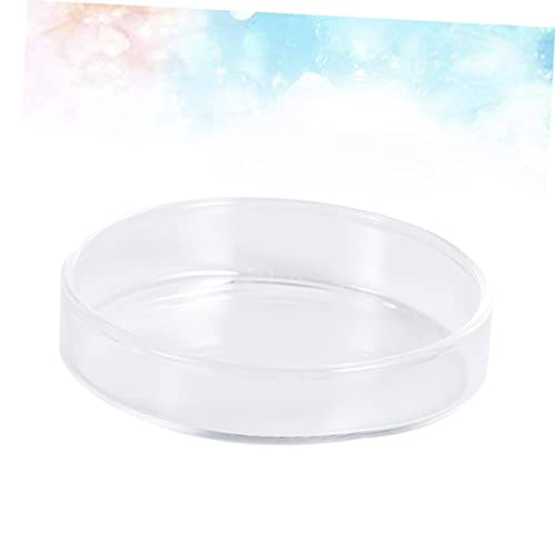 Angoily 3pcs Glass Shrimp Food Basin for Small Fish Round Feeding Dish Glass for Shrimp Fish and Reptiles