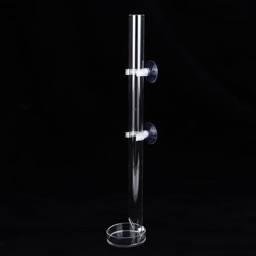 SUNGOOYUE Aquarium Feeder Acrylic Transparent Feeding Tube with Tray 20cm Fish Shrimp Feeding Dish with Suction Cups and Fixing Bracket for Fish Tank Aquarium (Tube Length 25cm)