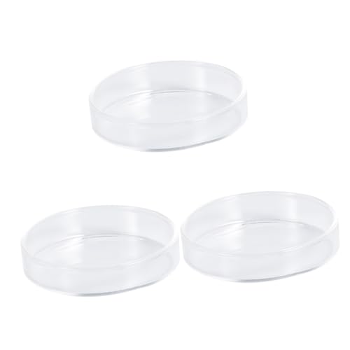 Angoily 3pcs Glass Shrimp Food Basin for Small Fish Round Feeding Dish Glass for Shrimp Fish and Reptiles