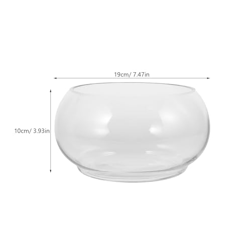 Hydroponic Plant Pot Clear Daffodil Bowl for Desktop Decor Durable Fish Tank for Flowers Plants Portable Tiny Aquarium Present for Home Parties