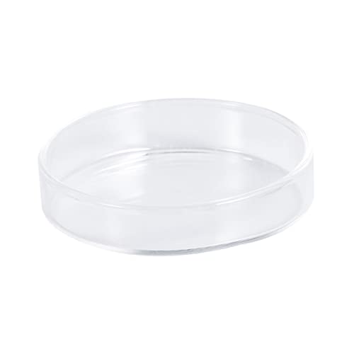 Toddmomy 1pc Glass Shrimp Food Round Dish Ornamental Feeder Bowl for Fish and Reptiles Crystal Glass Feeding Basin