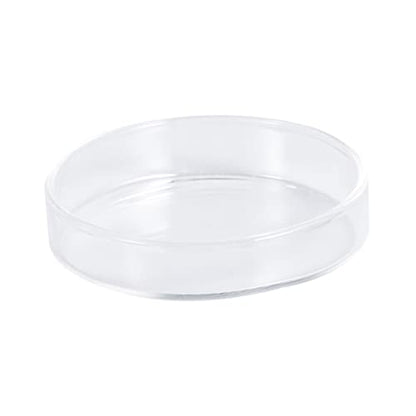 Toddmomy 1pc Glass Shrimp Food Round Dish Ornamental Feeder Bowl for Fish and Reptiles Crystal Glass Feeding Basin