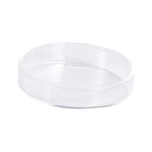 Toyvian 1pc Glass Shrimp Dish Glass Aquarium Feeding Bowl for Ornamental Shrimp and Small Fish Multipurpose Design for Aquatic Pets and Reptiles