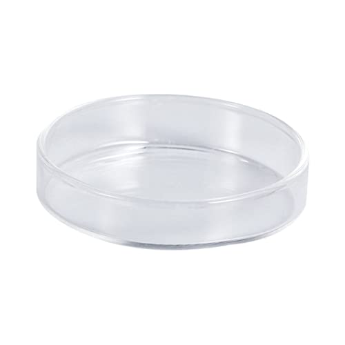 Clear Glass Shrimp Food Feeder Bowl Small Round Aquarium Dish for Fish Reptiles Ornamental Supplies Glass Design for Feeding Fish Tanks