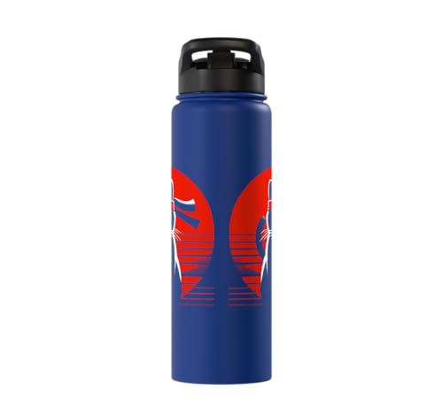 Japanese Cats Lovers And Cool Fighting Ninja Cat Fighter Stainless Steel Insulated Water Bottle - color: Royal Blue