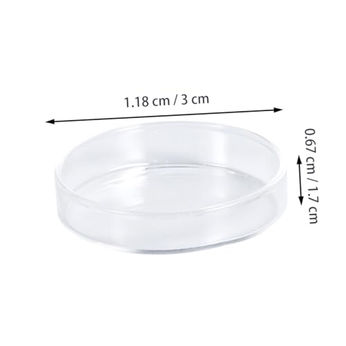 Toyvian 1pc Glass Shrimp Dish Glass Aquarium Feeding Bowl for Ornamental Shrimp and Small Fish Multipurpose Design for Aquatic Pets and Reptiles