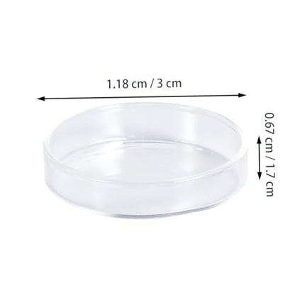 BESPORTBLE 1pc Glass Shrimp Feeding Bowl Round Dish for Fish Tank Glass Feeder for Shrimp and Reptiles Elegant and Aquarium Supply