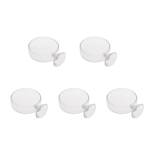 Fish for Tank Feeder Aquarium Shrimp Glass Feeding Bowl Clear Dish T Aquarium Fish Tank Landscaping Plant Landscape Fishtank Artificial Simulation Plant Biological Landscape Artificial