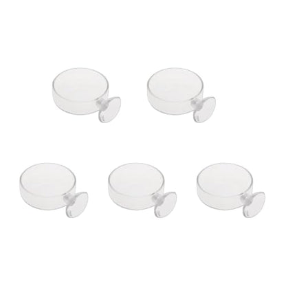 Fish for Tank Feeder Aquarium Shrimp Glass Feeding Bowl Clear Dish T Aquarium Fish Tank Landscaping Plant Landscape Fishtank Artificial Simulation Plant Biological Landscape Artificial