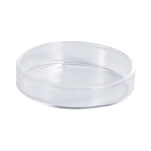 Angoily Glass Shrimp Feeder Bowl Round Dish for Aquatic Pets for Shrimp Small Fish and Reptiles Enhances Aquarium Multipurpose Feeding - color: Transparent, size: Medium