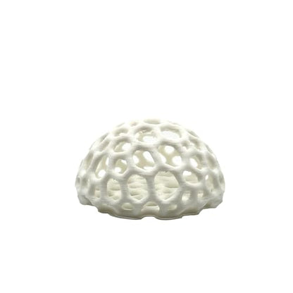 Shrimp Dome Hide - Aquarium Cherry Shrimp Hide Cherry Shimpe Hide (White)