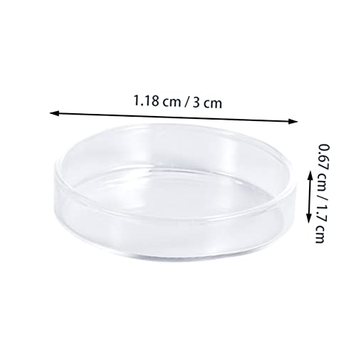 Toddmomy 1pc Glass Shrimp Food Round Dish Ornamental Feeder Bowl for Fish and Reptiles Crystal Glass Feeding Basin