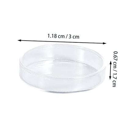 Toddmomy 1pc Glass Shrimp Food Round Dish Ornamental Feeder Bowl for Fish and Reptiles Crystal Glass Feeding Basin