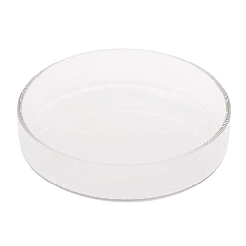 Glass Feeder Dish Wide Transparent Round Food Bowl for Cory Pleco Bottom Feeding Fish Shrimp Feeder Tube