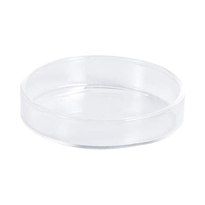 Toddmomy 1pc Glass Shrimp Feeder Bowl Crystal Glass Dish for Fish and Reptiles Decorative Aquarium Feeding Supply