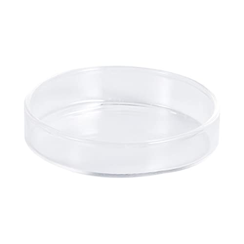 Toddmomy 1pc Glass Shrimp Feeder Bowl Crystal Glass Dish for Fish and Reptiles Decorative Aquarium Feeding Supply