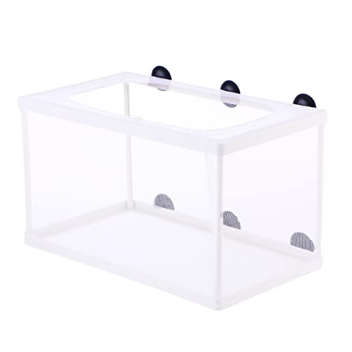 Fish Box- Aquarium Hatchery Net, Fish Breeding Box with Suction Cup for Aquarium Fish Tank (Size L)