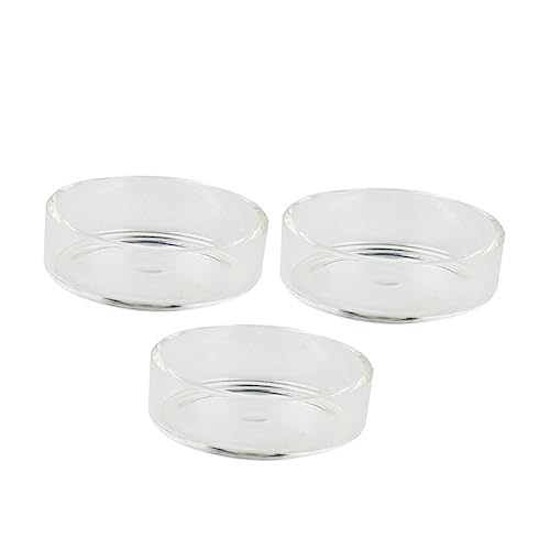 BESPORTBLE 3pcs Round Shrimp Feeder Dish Crystal Transparent Bowl for Aquarium Shrimp and Reptiles Durable Pet Food Bowl Decorative Feeding Container for Fish Tanks - size: Size 1